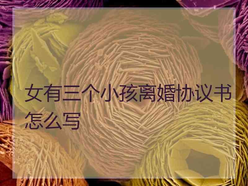 女有三个小孩离婚协议书怎么写