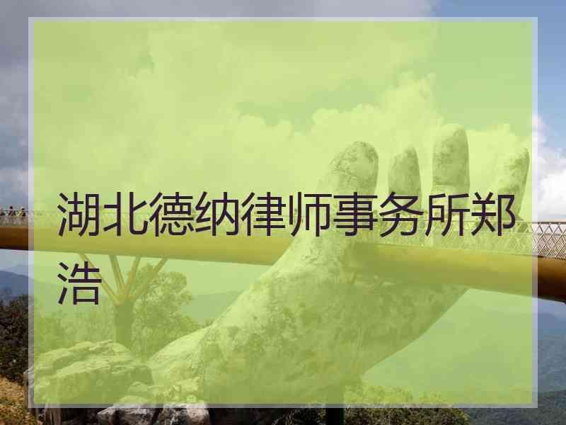 湖北德纳律师事务所郑浩广东深圳德纳律师事务所