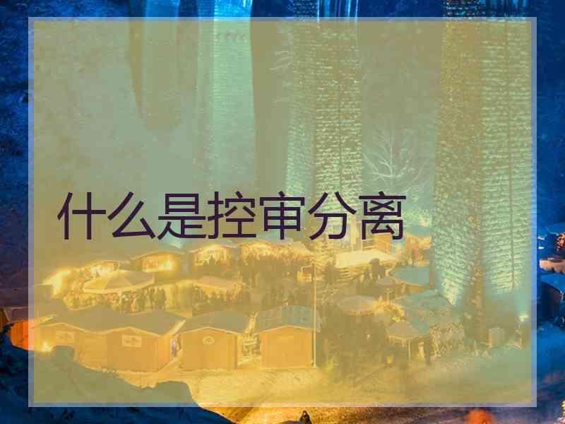 什么是控审分离