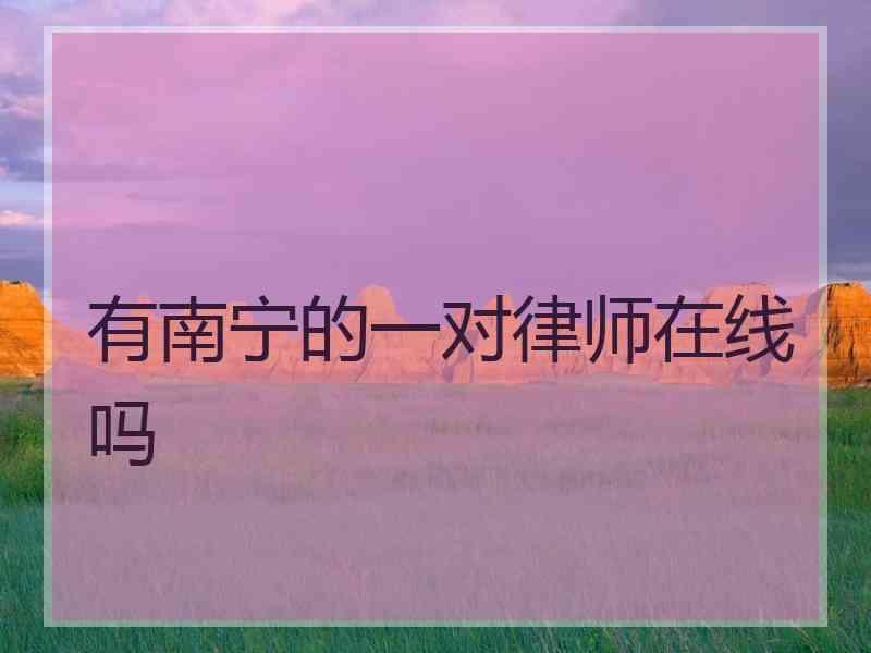 有南宁的一对律师在线吗