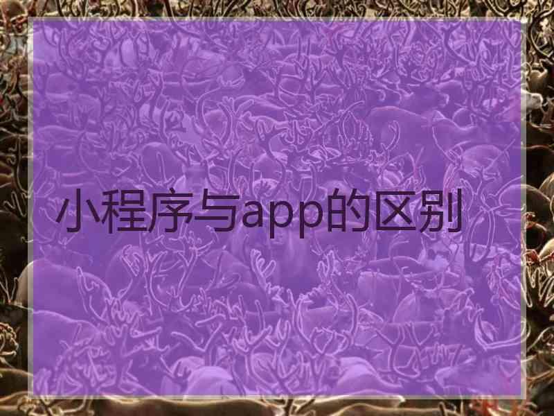 小程序与app的区别