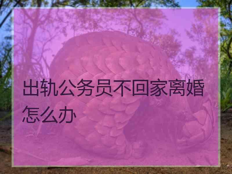 出轨公务员不回家离婚怎么办