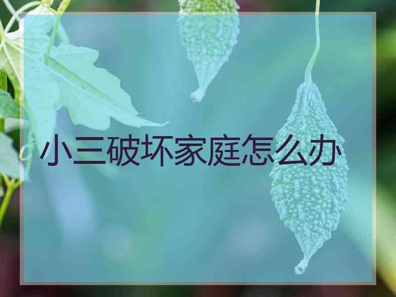 小三破坏家庭怎么办