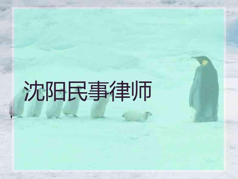 沈阳民事律师