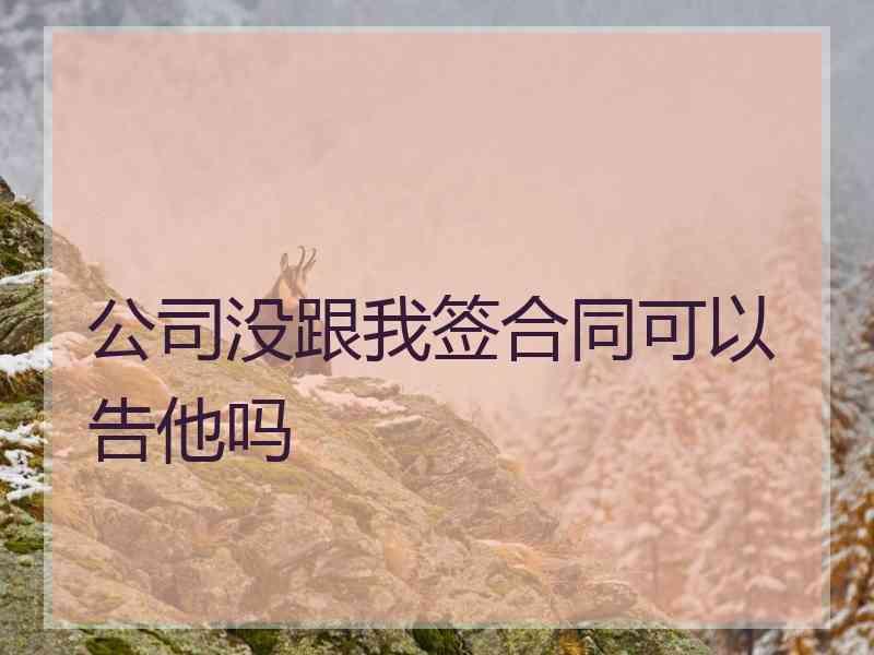 公司没跟我签合同可以告他吗