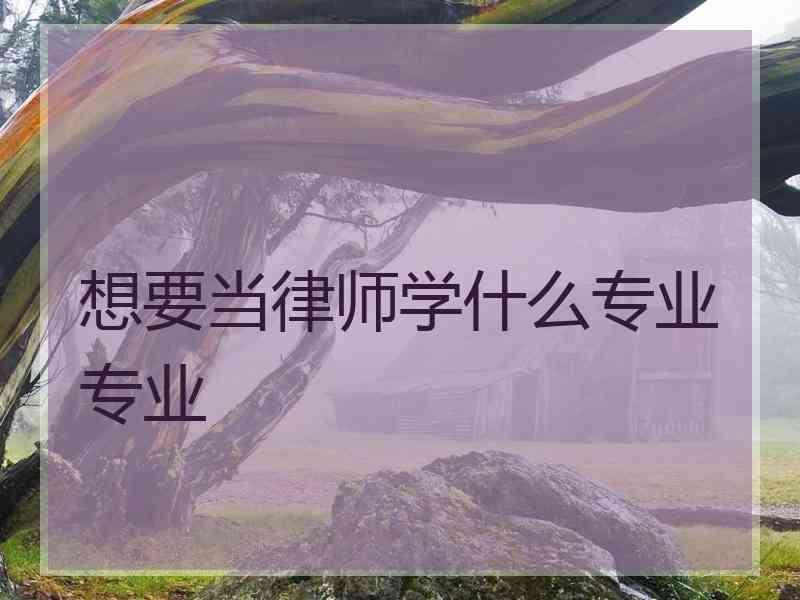 想要当律师学什么专业专业