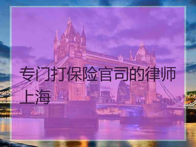 专门打保险官司的律师上海