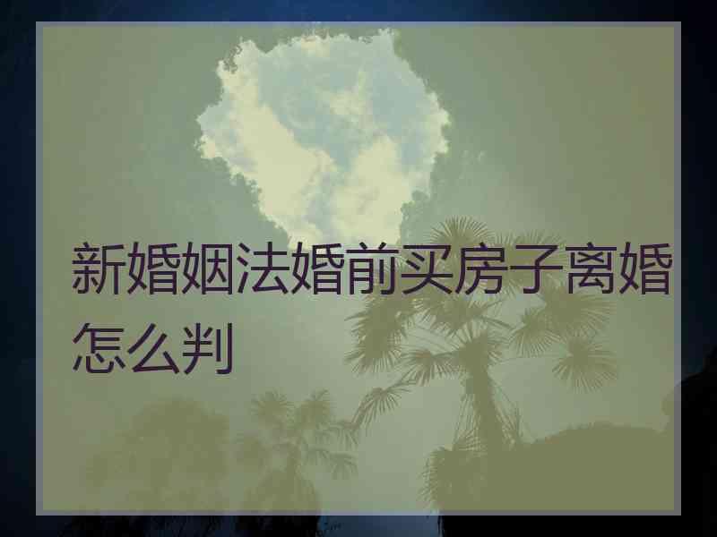 新婚姻法婚前买房子离婚怎么判