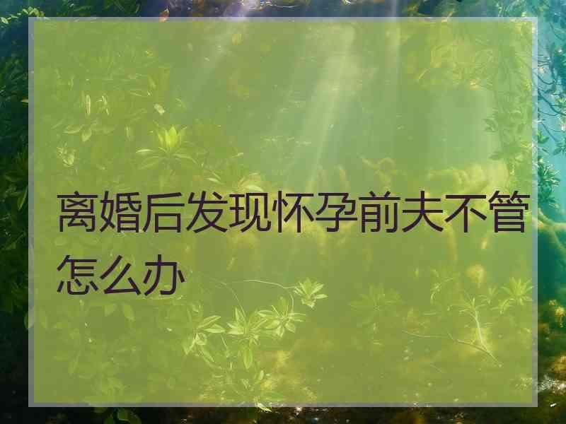 离婚后发现怀孕前夫不管怎么办