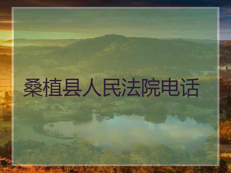 桑植县人民法院电话