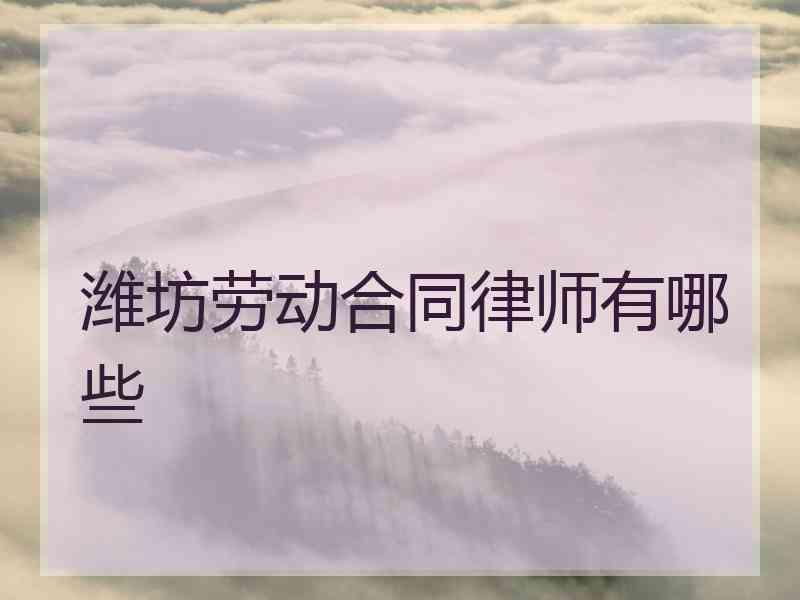 潍坊劳动合同律师有哪些