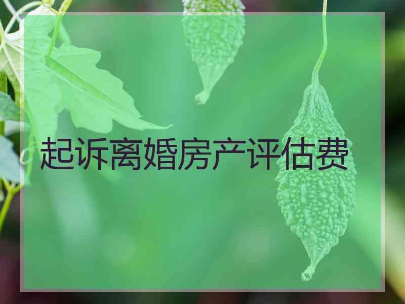 起诉离婚房产评估费