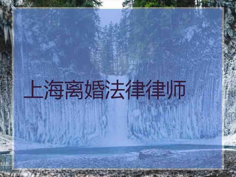 上海离婚法律律师