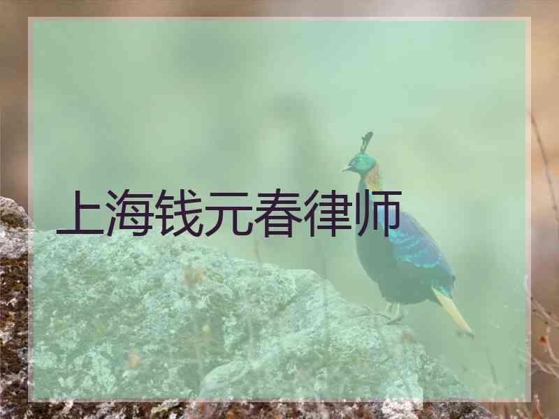 上海钱元春律师