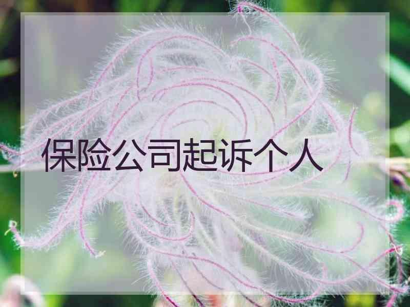 保险公司起诉个人