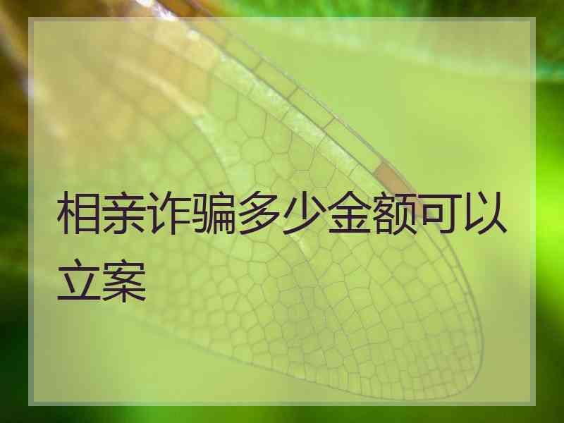 相亲诈骗多少金额可以立案