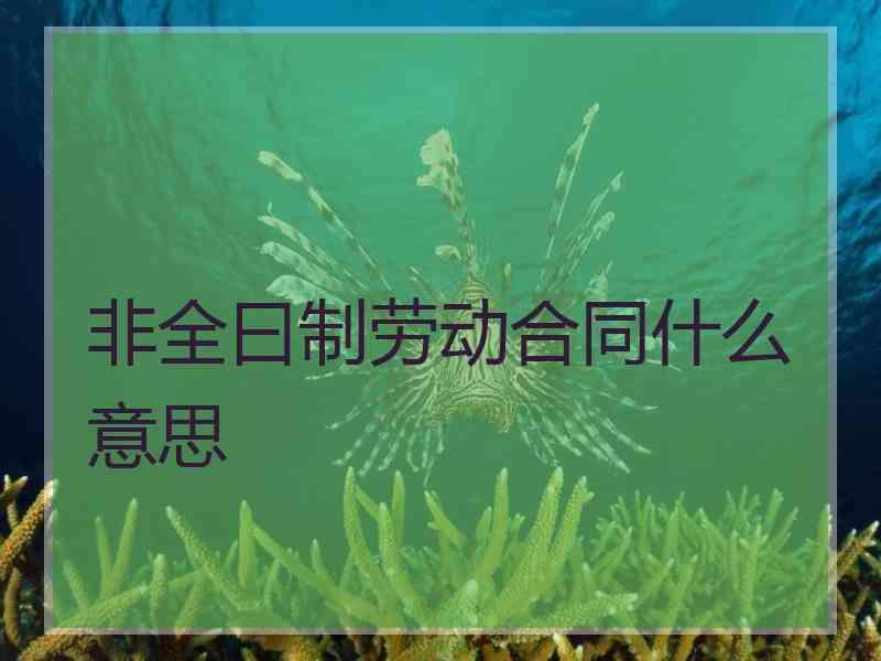 非全曰制劳动合同什么意思