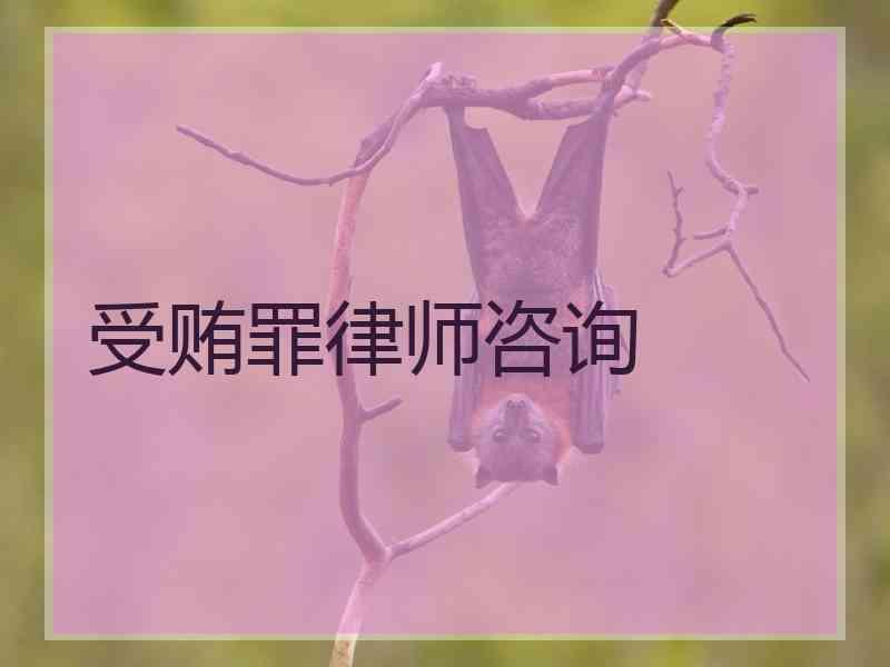 受贿罪律师咨询