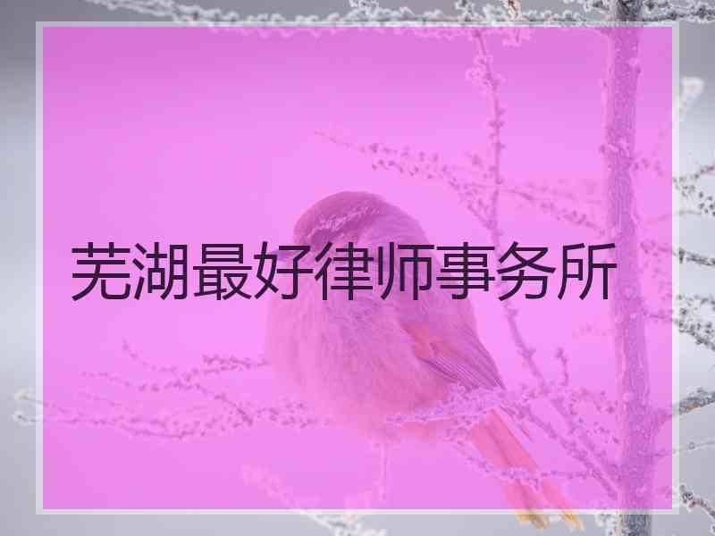 芜湖最好律师事务所