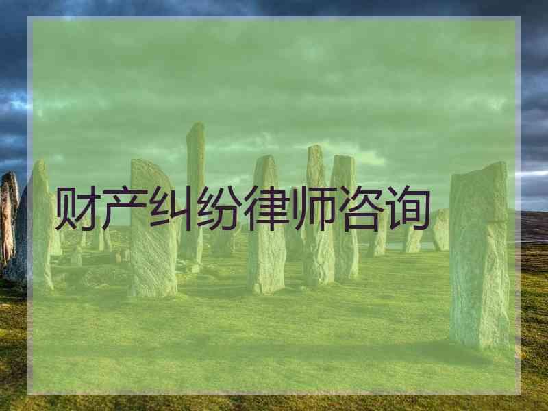 财产纠纷律师咨询