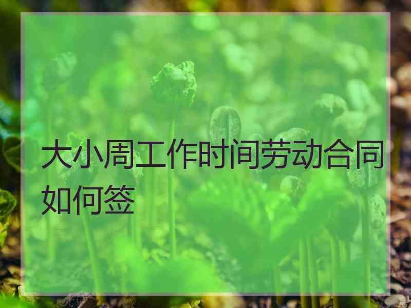 大小周工作时间劳动合同如何签