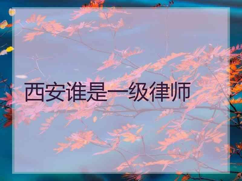 西安谁是一级律师