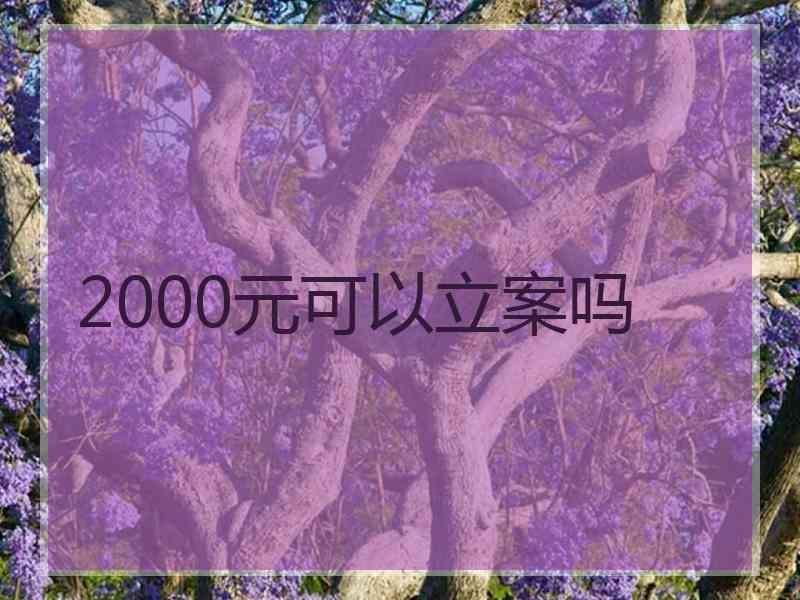 2000元可以立案吗