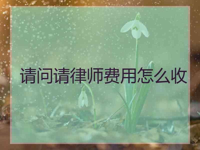 请问请律师费用怎么收