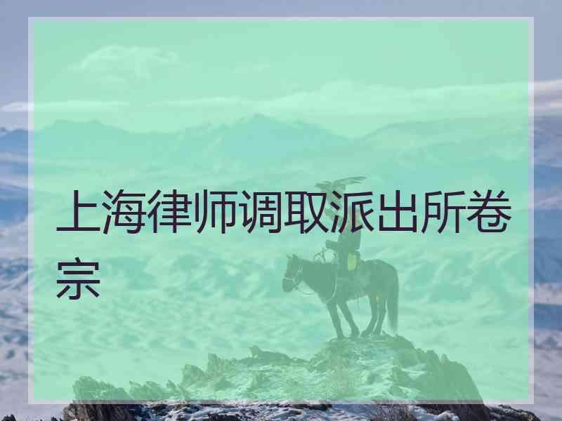 上海律师调取派出所卷宗
