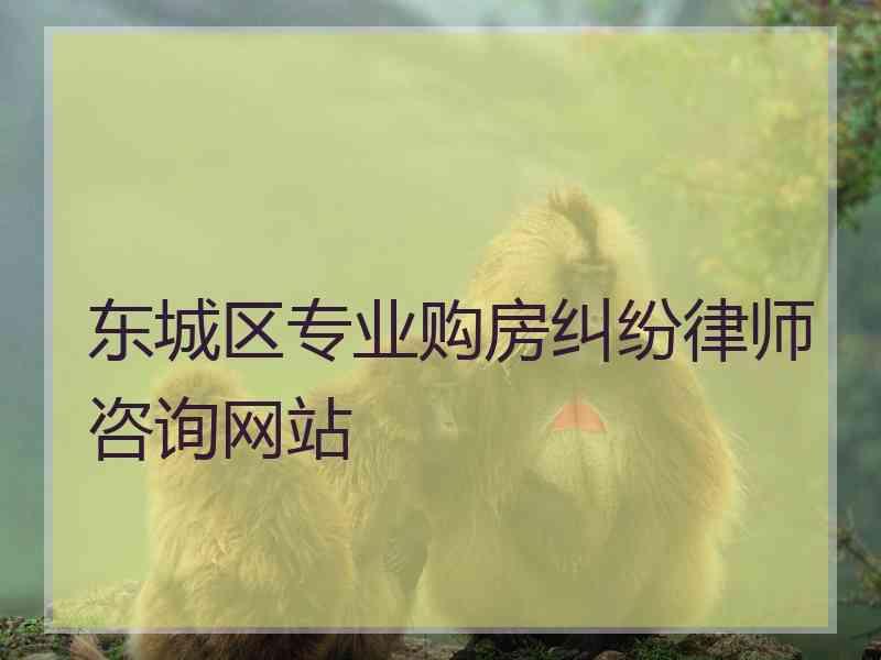 东城区专业购房纠纷律师咨询网站