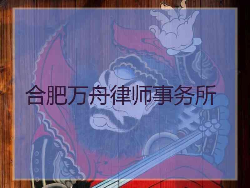 合肥万舟律师事务所