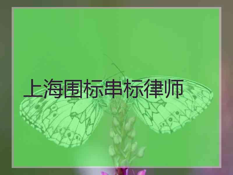 上海围标串标律师