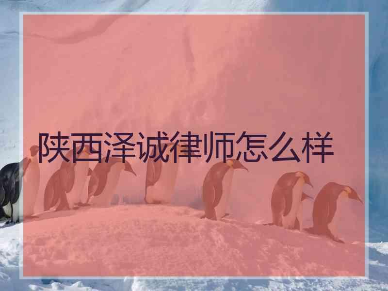 陕西泽诚律师怎么样