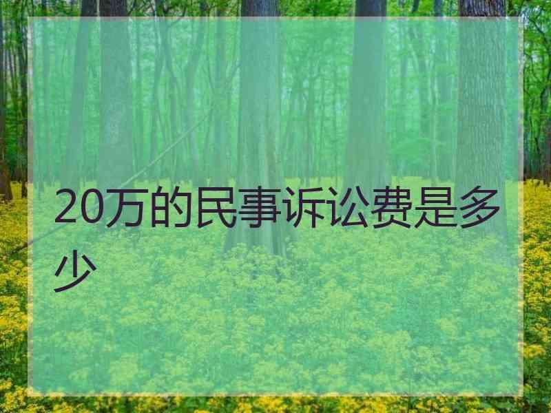 20万的民事诉讼费是多少