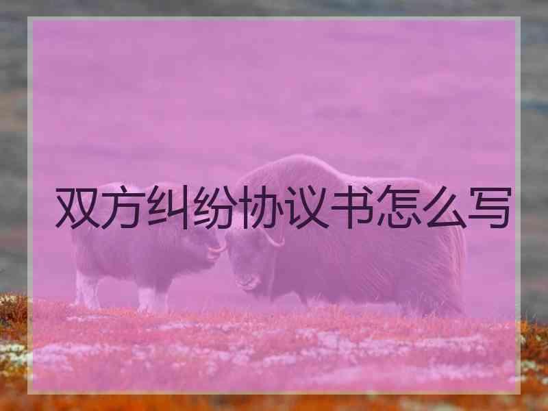 双方纠纷协议书怎么写