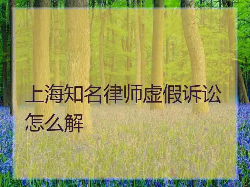 上海知名律师虚假诉讼怎么解