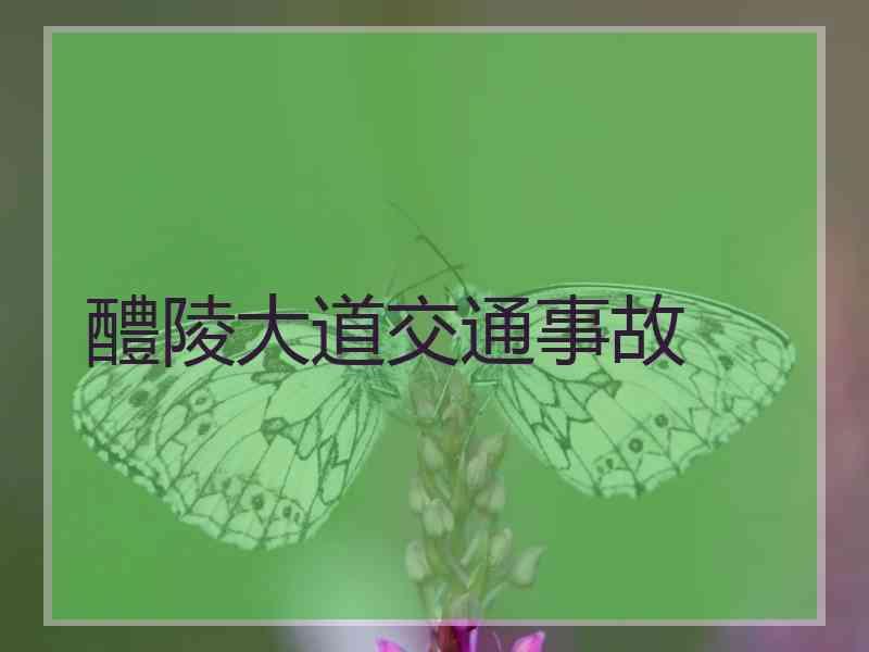 醴陵大道交通事故