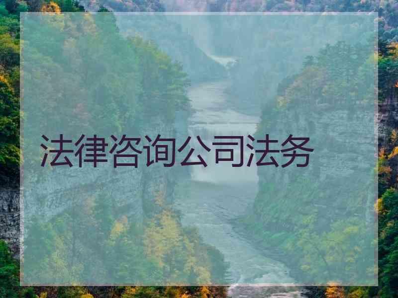 法律咨询公务