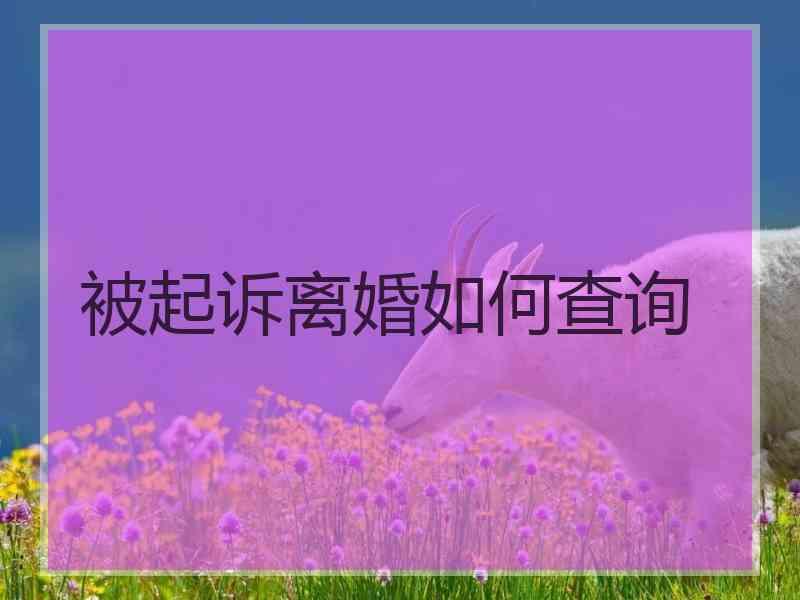 被起诉离婚如何查询