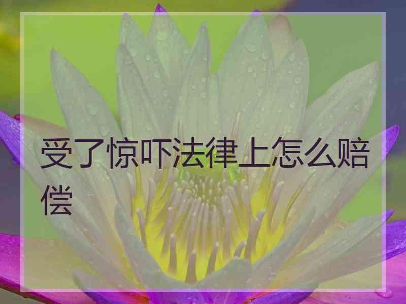 受了惊吓法律上怎么赔偿