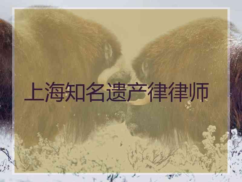 上海知名遗产律律师