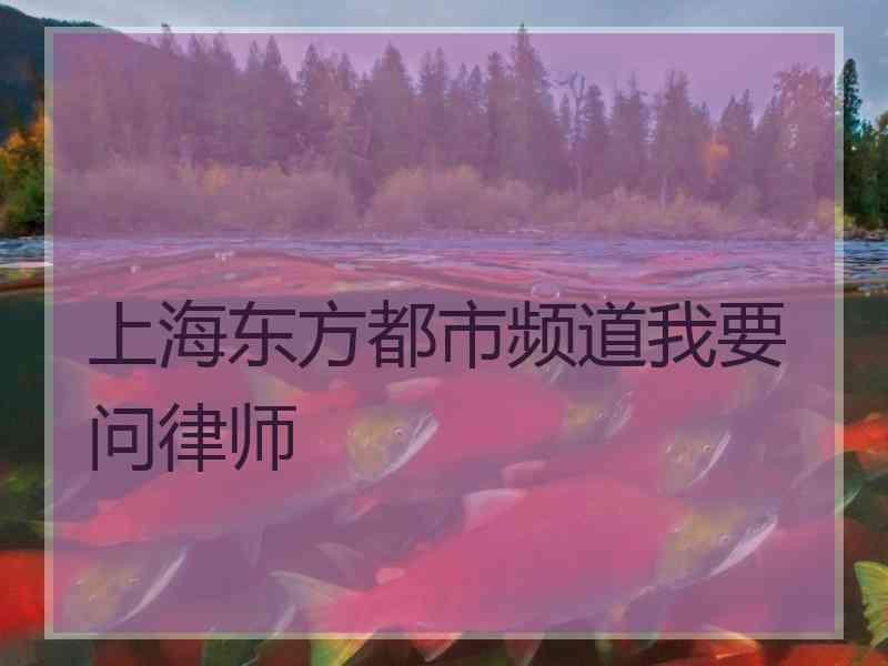 上海东方都市频道我要问律师