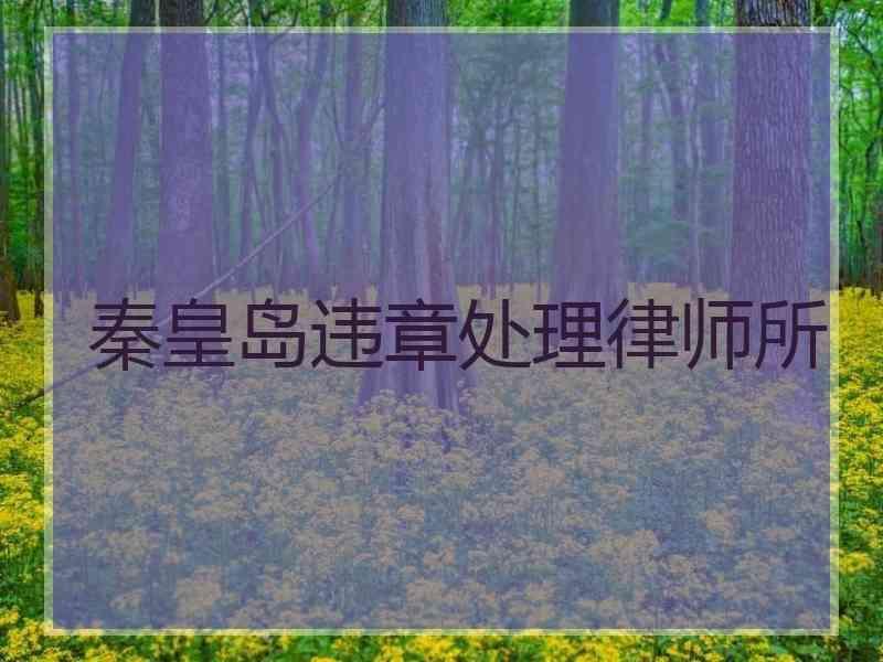 秦皇岛违章处理律师所