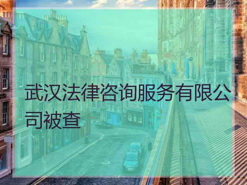 武汉法律咨询服务有限公司被查