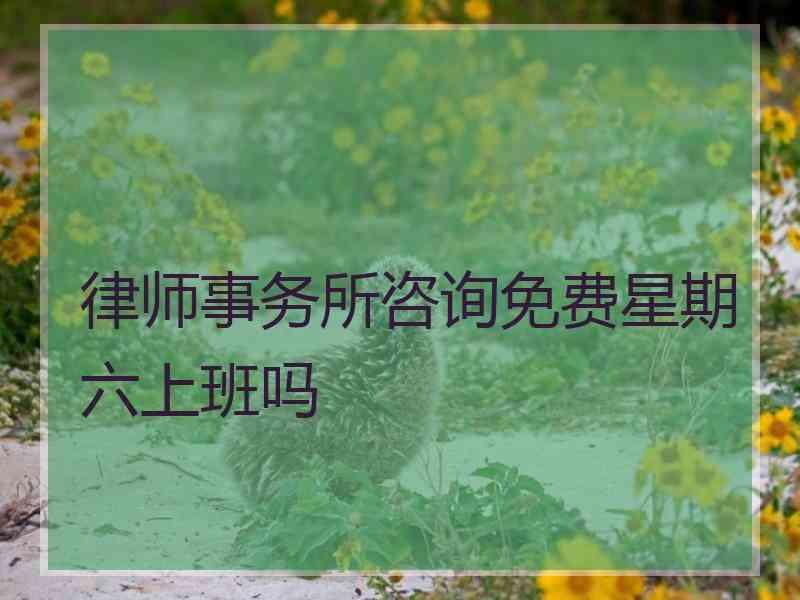 律师事务所咨询免费星期六上班吗