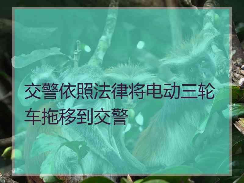 交警依照法律将电动三轮车拖移到交警