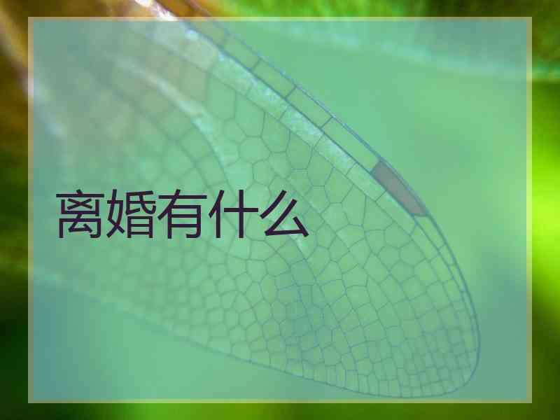 离婚有什么