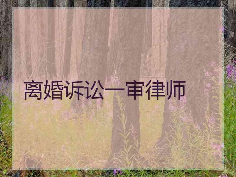 离婚诉讼一审律师