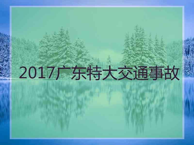 2017广东特大交通事故