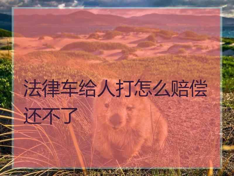 法律车给人打怎么赔偿还不了